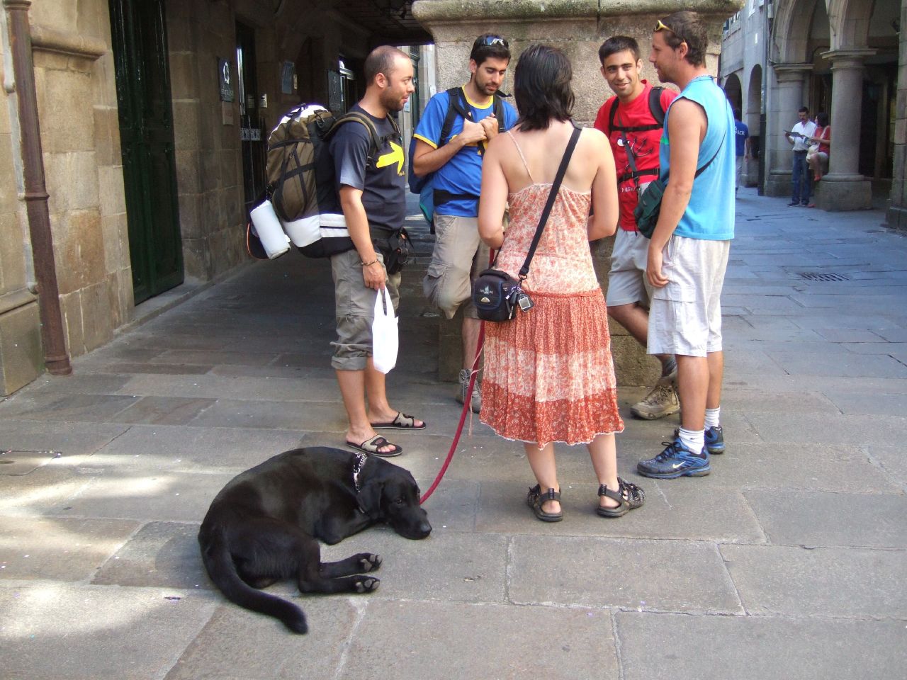 En este momento estás viendo ¿Se puede hacer el camino de Santiago con perro?