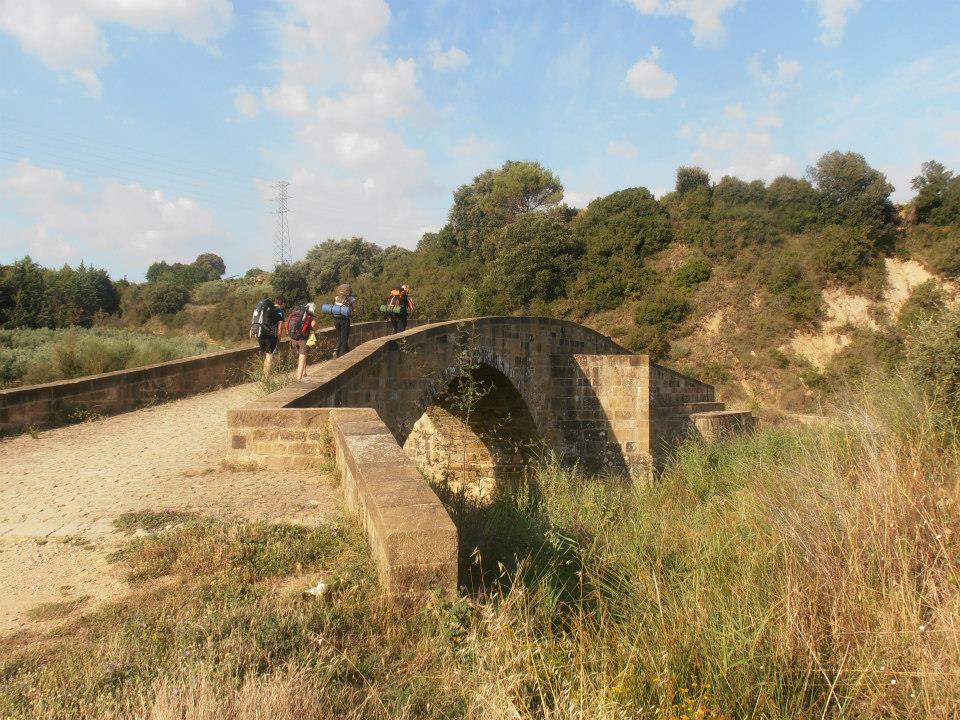 En este momento estás viendo Guía camino de Santiago francés etapas