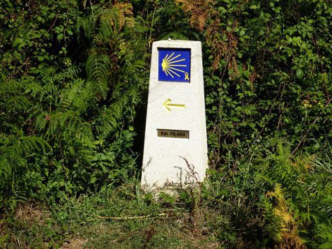 Descubre los tramos más recorridos del Camino de Santiago