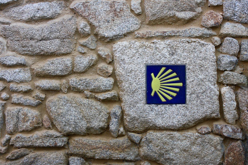 La concha de vieira simbolo del Camino de Santiago