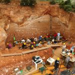El Yacimiento de Atapuerca en el Camino de Santiago: Un Tesoro Arqueológico en España